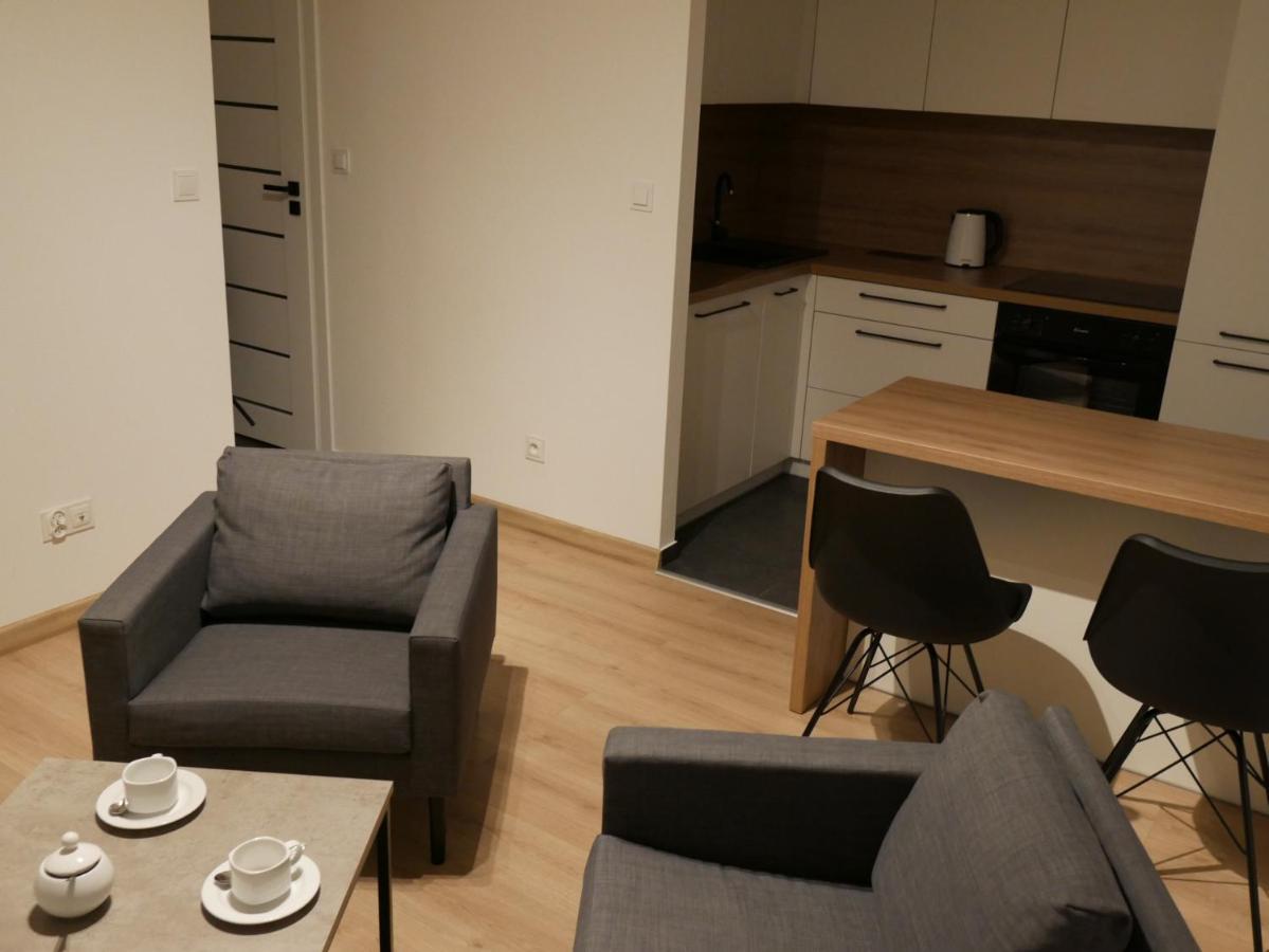 Auschwitz New Flat For Rent Air Conditioning In The Apartament Oswiecim Nowe Mieszkanie - Centrum Klimatyzacja W Mieszkaniu Appartement Buitenkant foto
